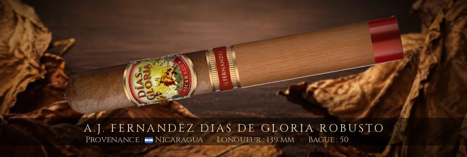 A.J. Fernandez Dias de Gloria Robusto