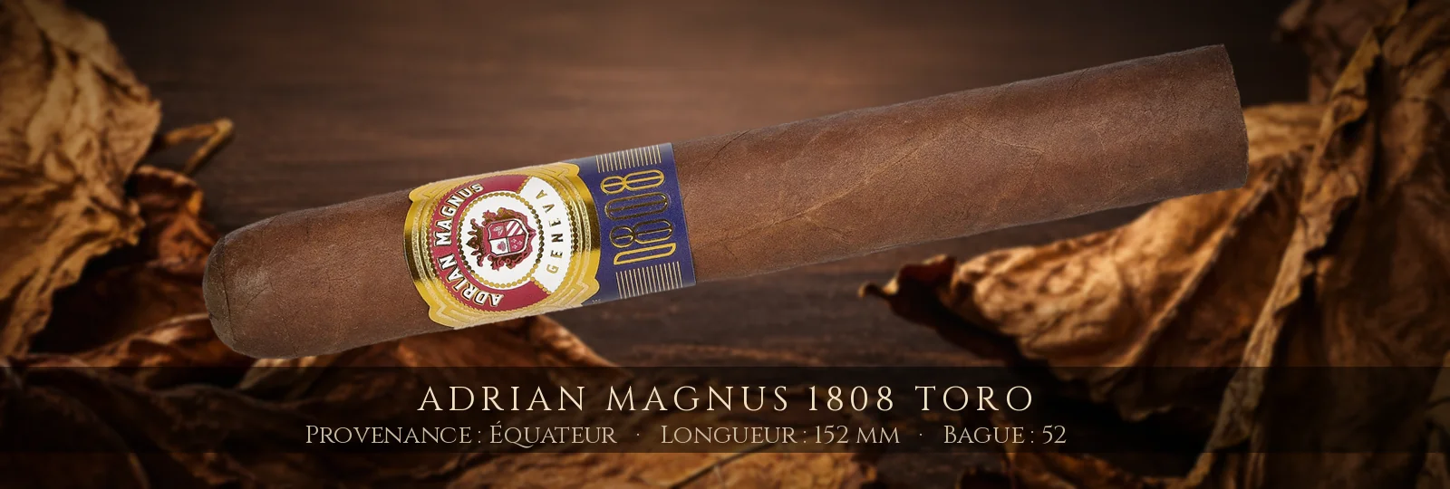 Adrian Magnus 1808 Toro — Adrian Magnus — Équateur