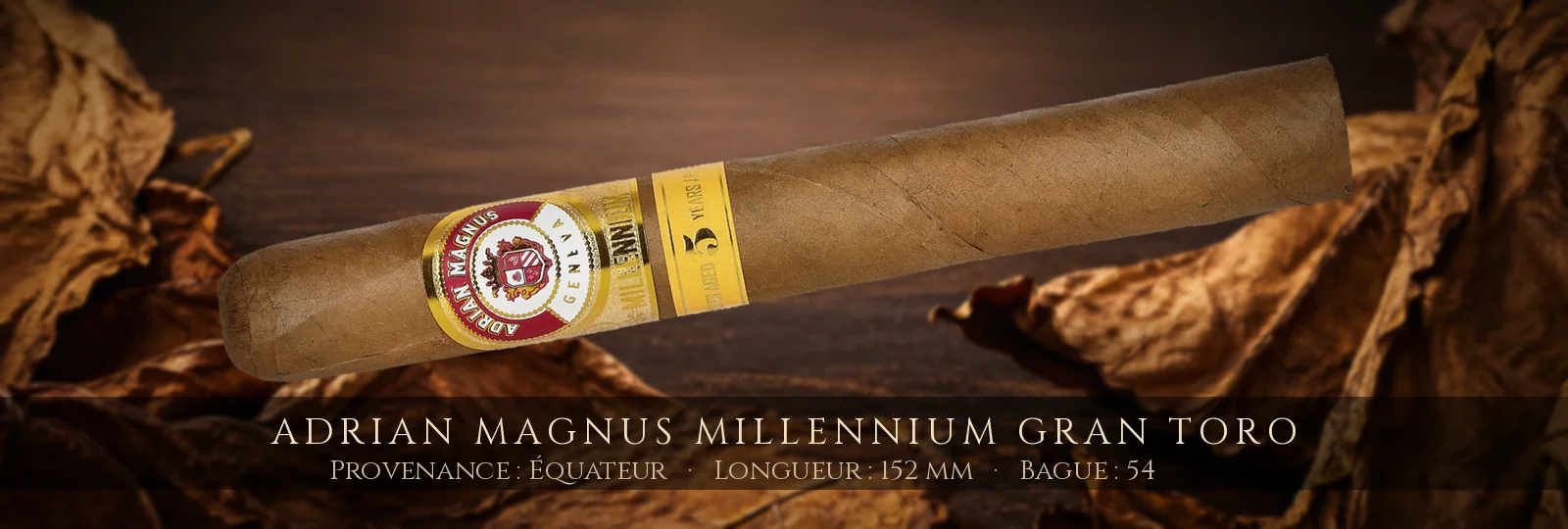 Adrian Magnus Millennium Gran Toro — Adrian Magnus — Équateur