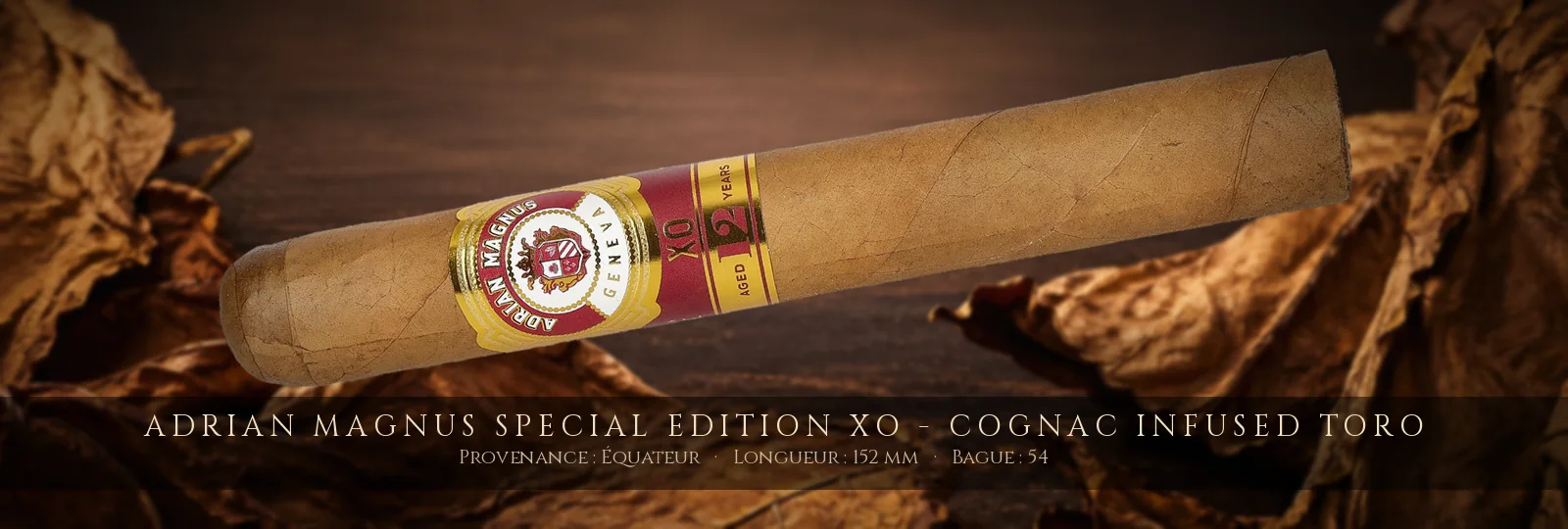 Adrian Magnus Special Edition XO - Cognac Infused Toro — Adrian Magnus — Équateur
