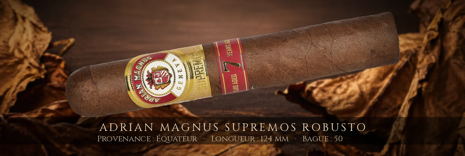 Adrian Magnus Supremos Robusto — Adrian Magnus — Équateur
