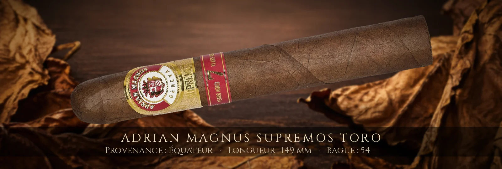 Adrian Magnus Supremos Toro — Adrian Magnus — Équateur