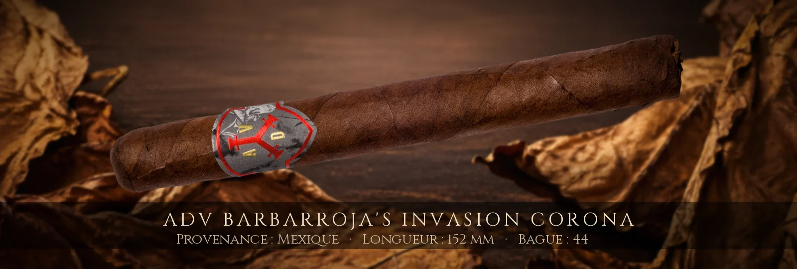 ADV Barbarroja's Invasion Corona — ADV — Mexique