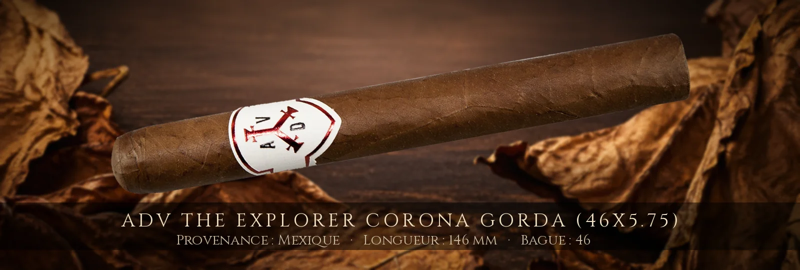 ADV The Explorer Corona Gorda (46x5.75) — ADV — Mexique