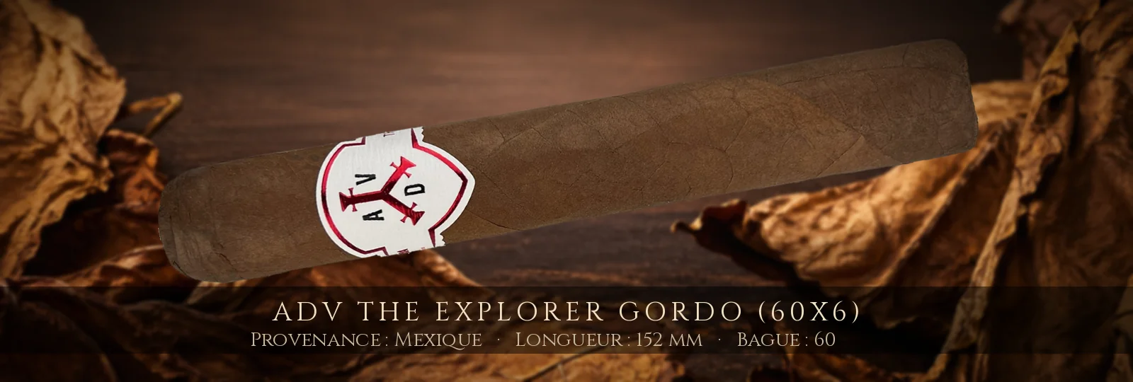 ADV The Explorer Gordo (60x6) — ADV — Mexique