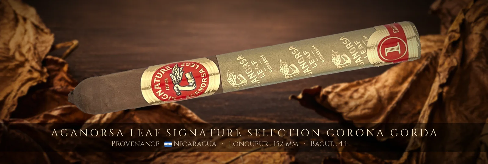 Aganorsa Leaf Signature Selection Corona Gorda