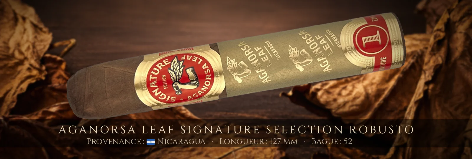 Aganorsa Leaf Signature Selection Robusto — Aganorsa Leaf — Nicaragua
