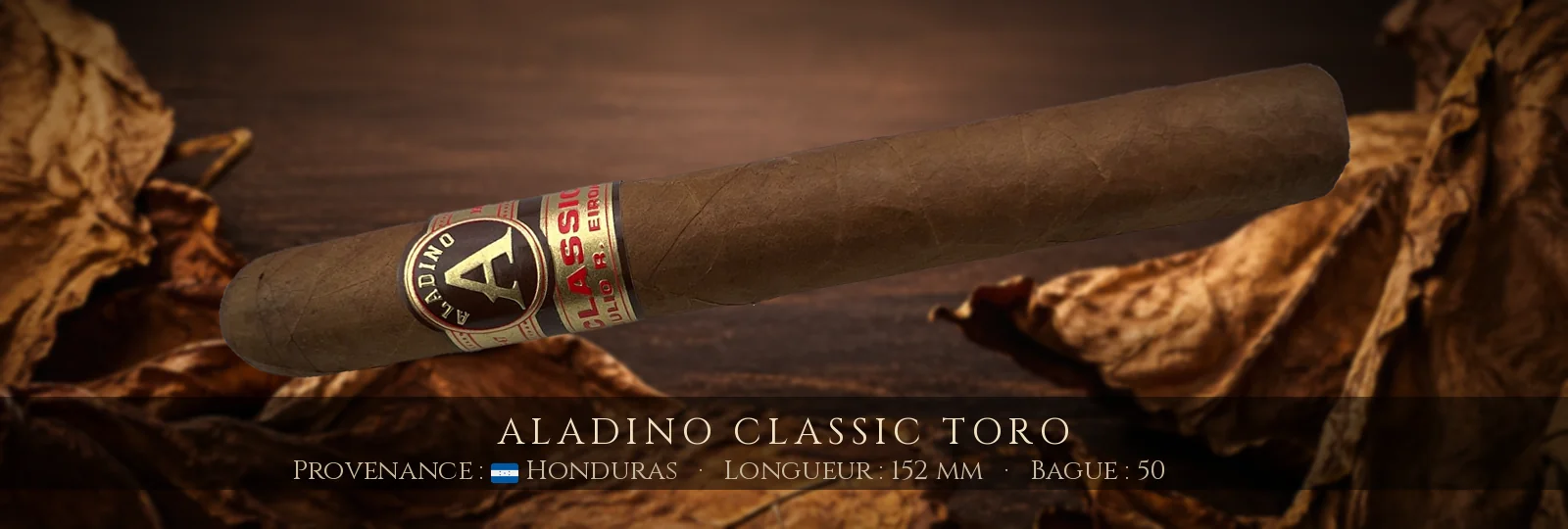 Aladino Classic Toro