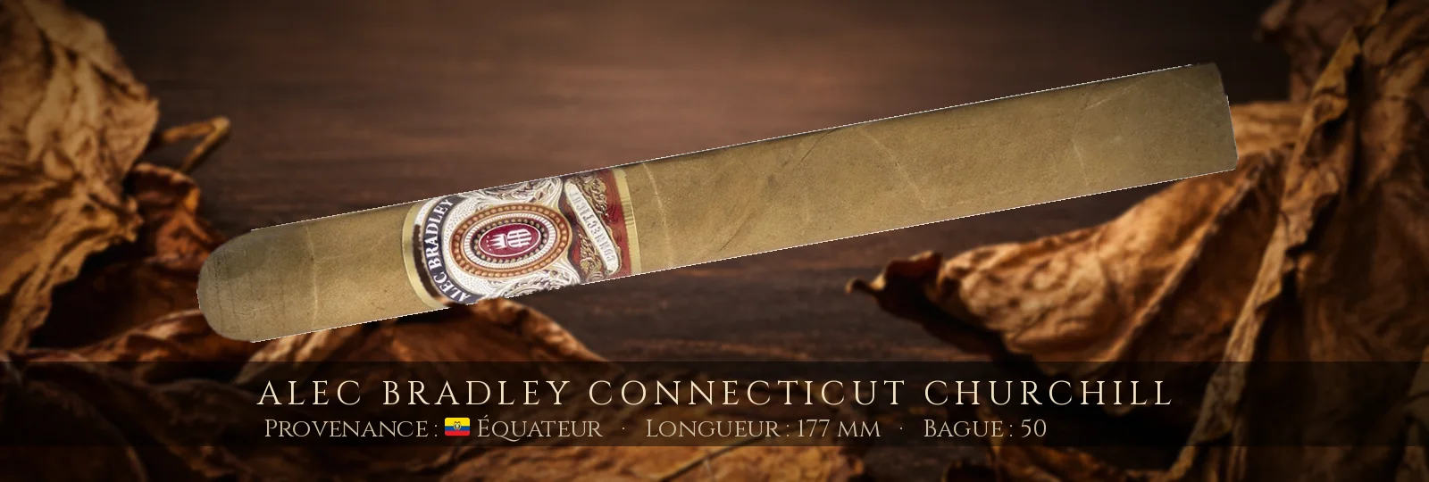 Alec Bradley Connecticut Churchill — Alec Bradley — Équateur