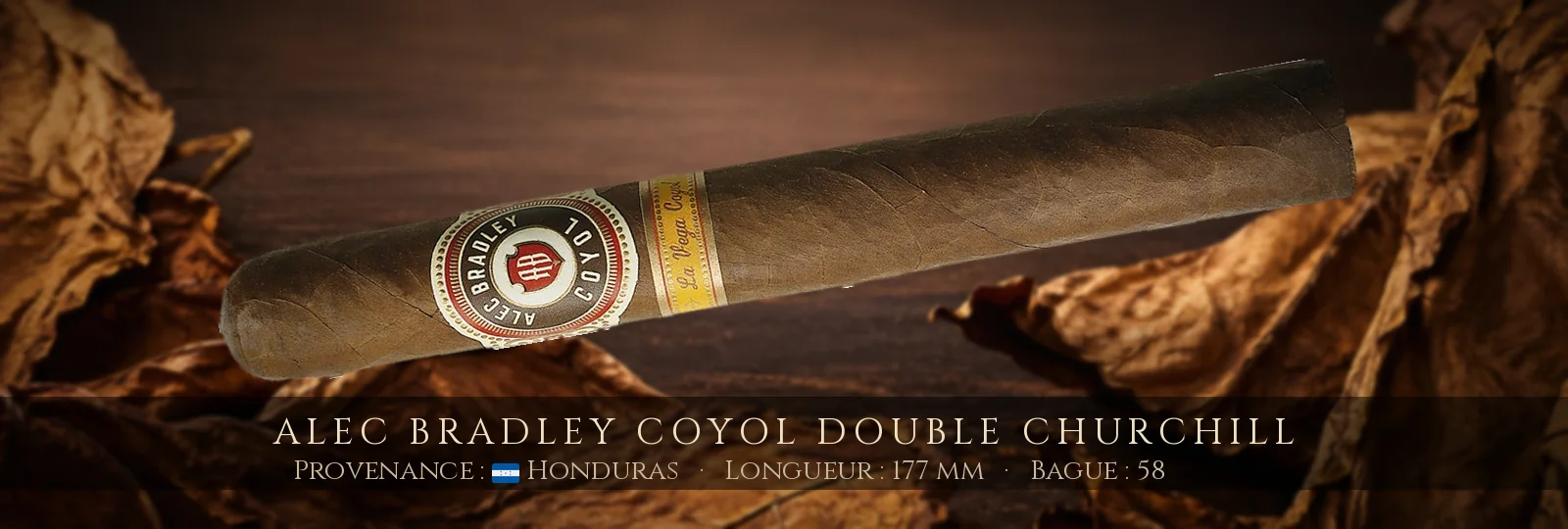 Alec Bradley Coyol Double Churchill