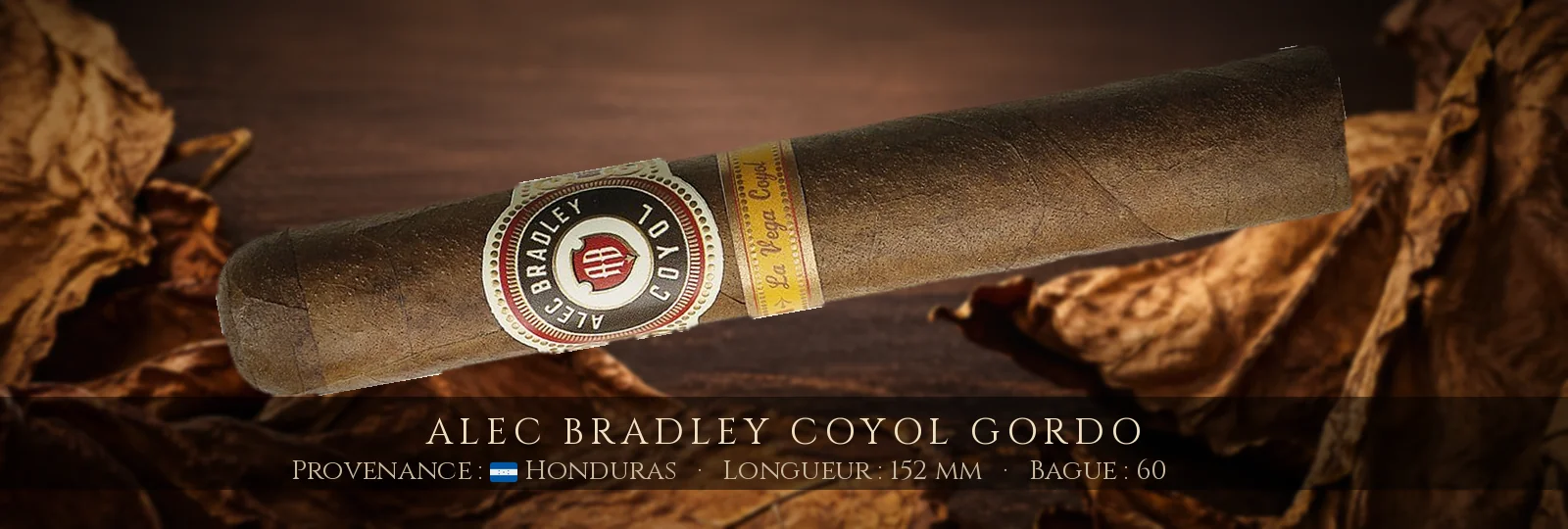Alec Bradley Coyol Gordo