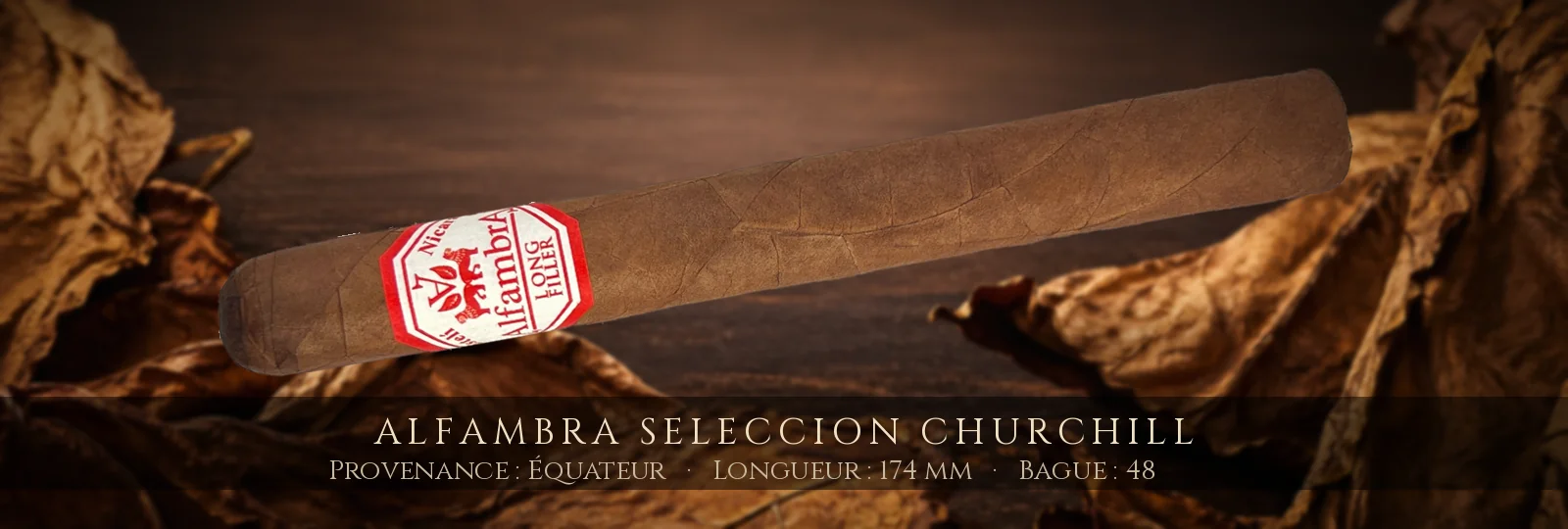 Alfambra Seleccion Churchill — Alfambra — Équateur