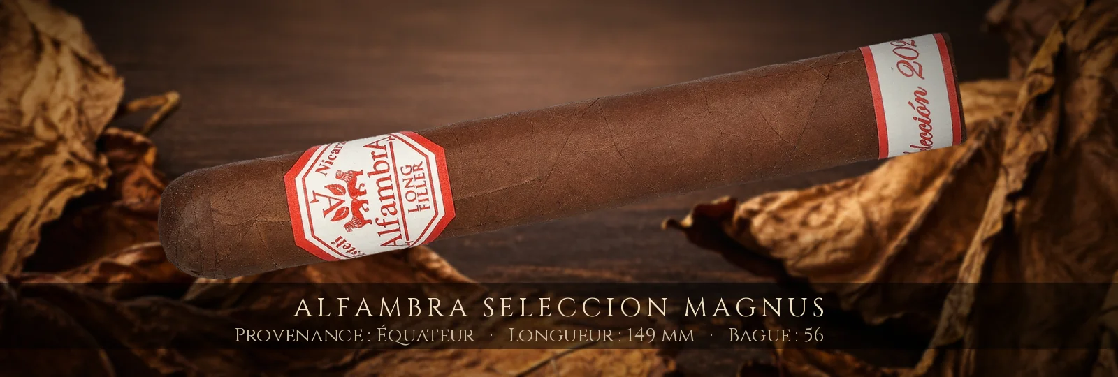 Alfambra Seleccion Magnus — Alfambra — Équateur