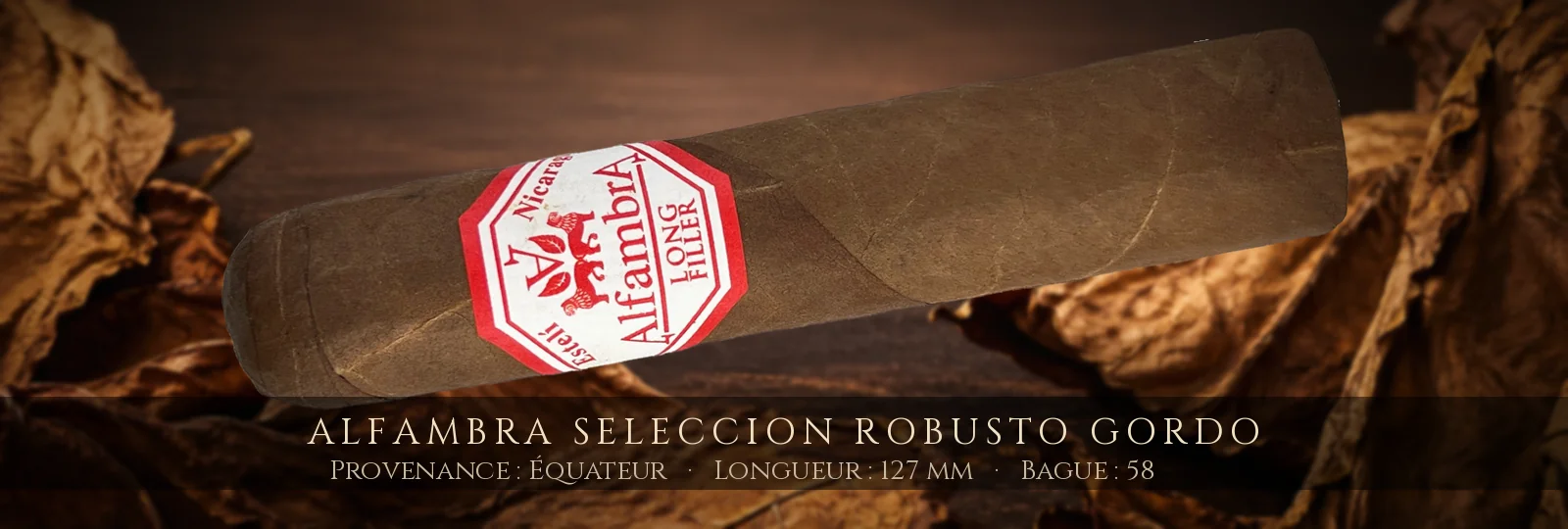 Alfambra Seleccion Robusto Gordo — Alfambra — Équateur