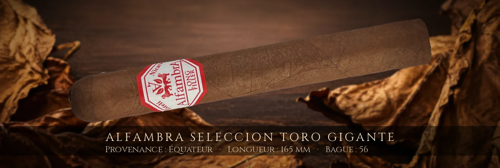 Alfambra Seleccion Toro Gigante — Alfambra — Équateur