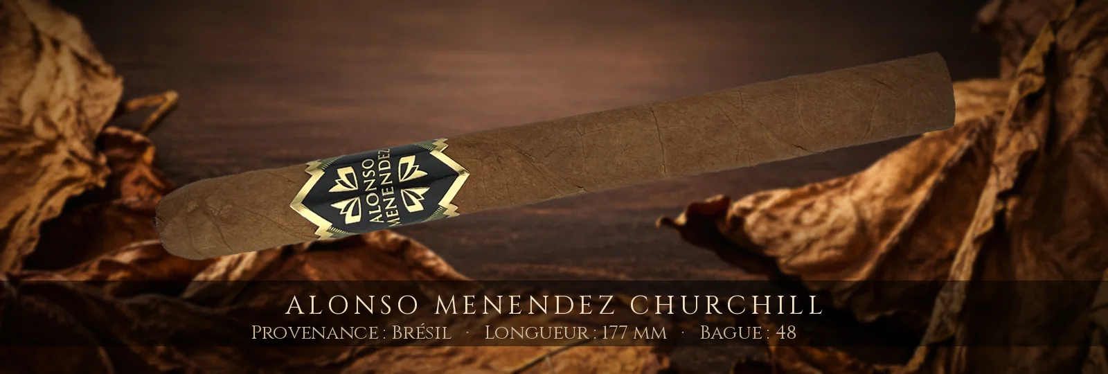 Alonso Menendez Churchill