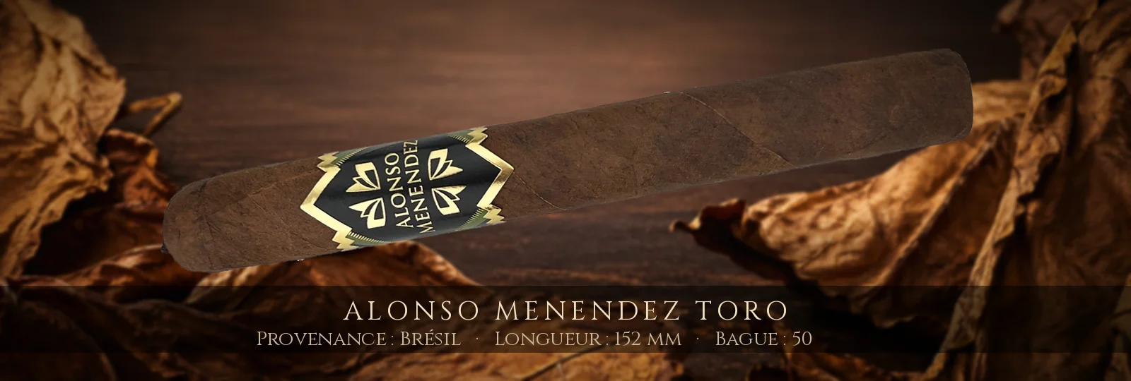 Alonso Menendez Toro