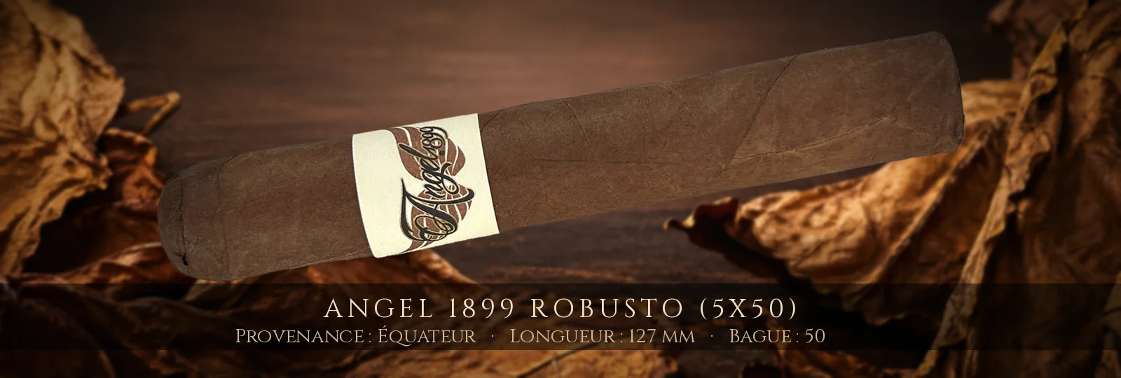 Angel 1899 Robusto (5x50) — Angel — Équateur