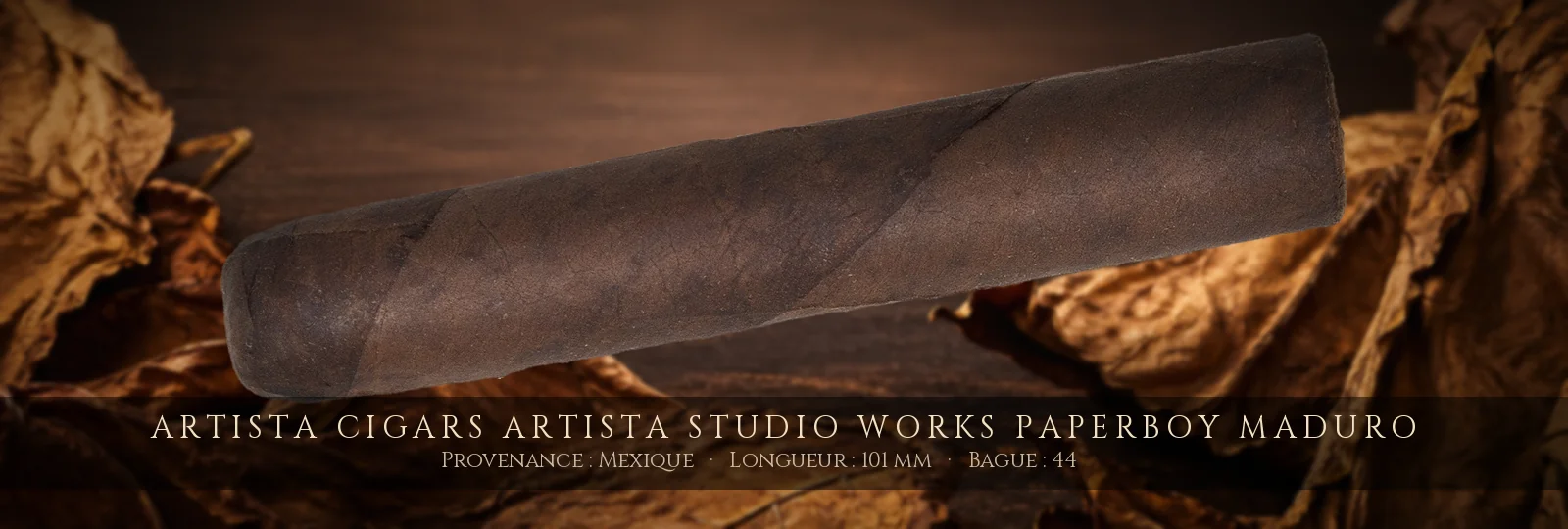 Artista Cigars Artista Studio Works Paperboy Maduro — Artista Cigars — Mexique