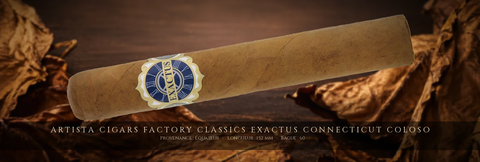 Artista Cigars Factory Classics Exactus Connecticut Coloso — Artista Cigars — Équateur