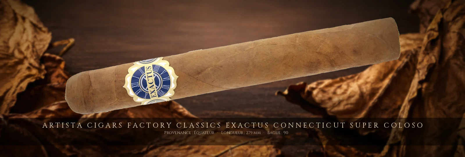 Artista Cigars Factory Classics Exactus Connecticut Super Coloso — Artista Cigars — Équateur