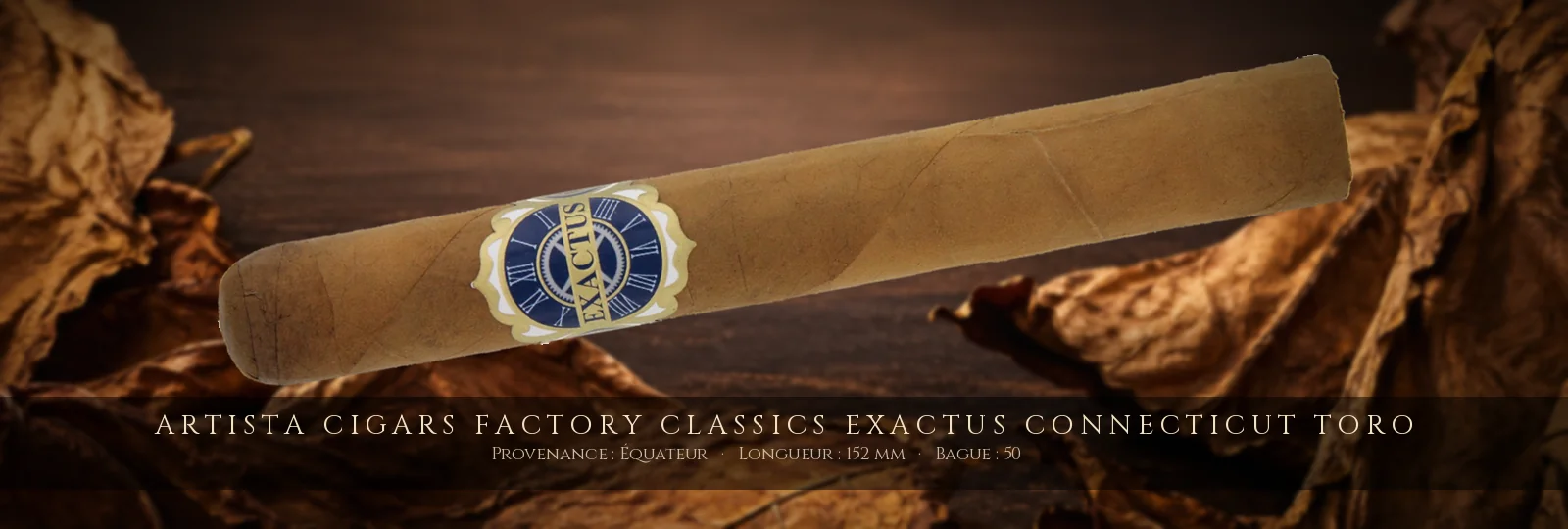 Artista Cigars Factory Classics Exactus Connecticut Toro — Artista Cigars — Équateur
