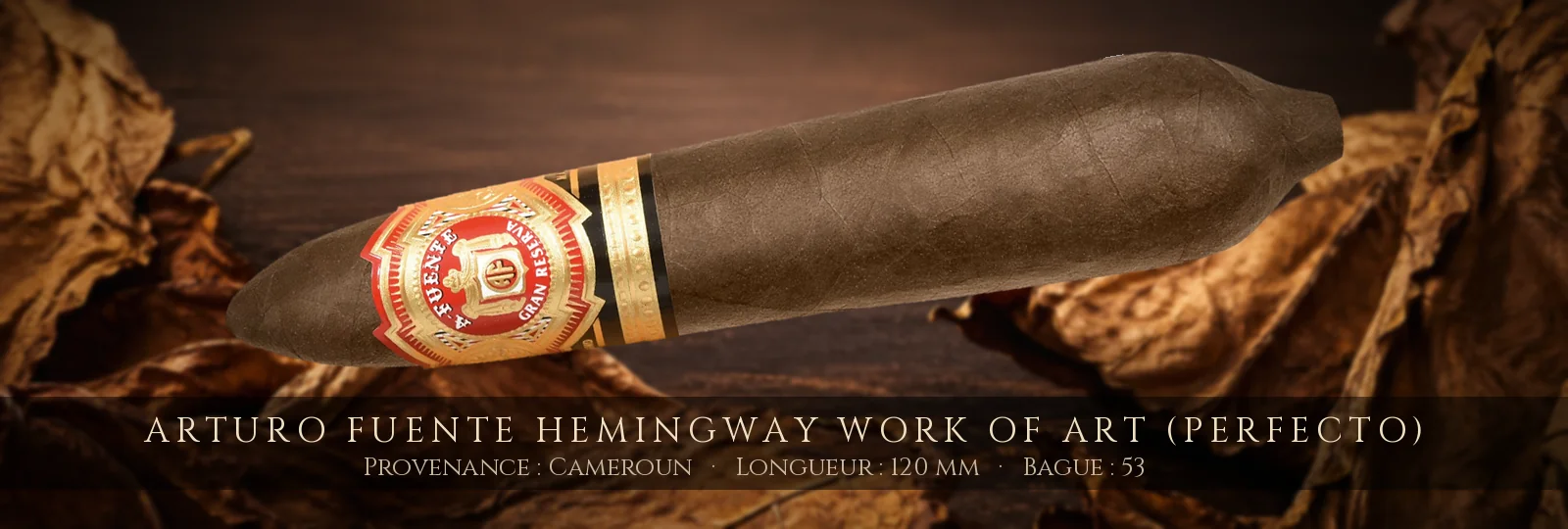 Arturo Fuente Hemingway Work of Art (Perfecto) — Arturo Fuente — Cameroun