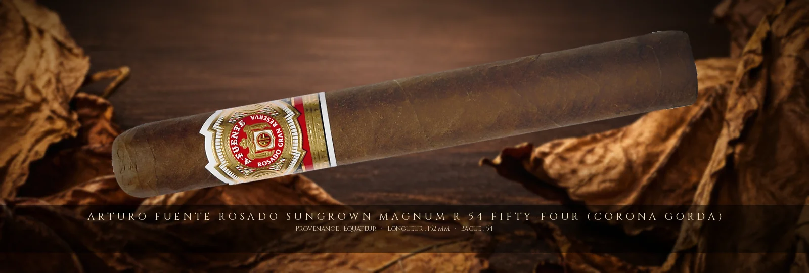 Arturo Fuente Rosado Sungrown Magnum R 54 Fifty-Four (Corona Gorda) — Arturo Fuente — Équateur