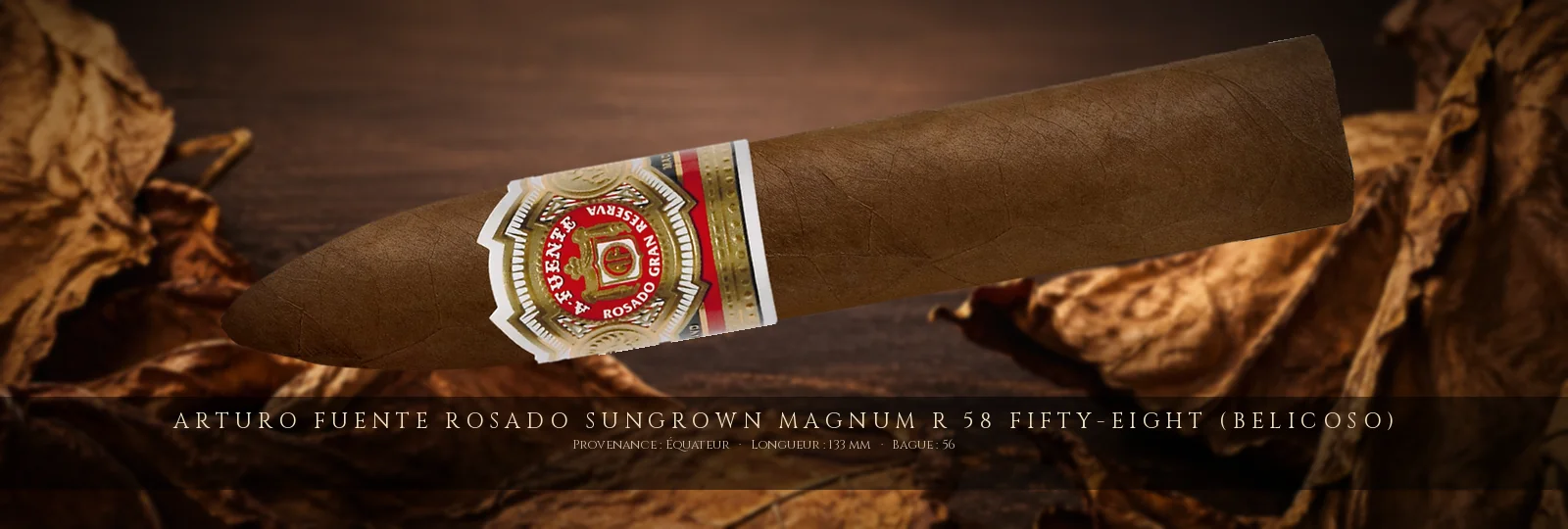 Arturo Fuente Rosado Sungrown Magnum R 58 Fifty-Eight (Belicoso) — Arturo Fuente — Équateur