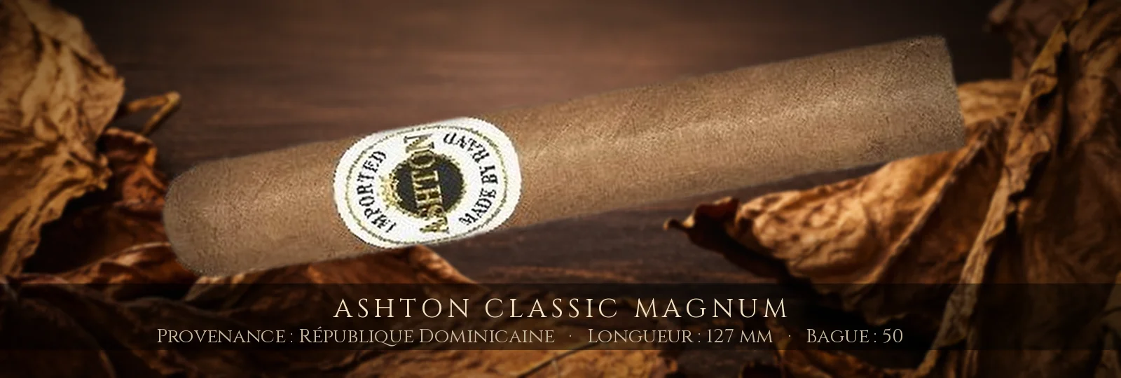 Ashton Classic Magnum