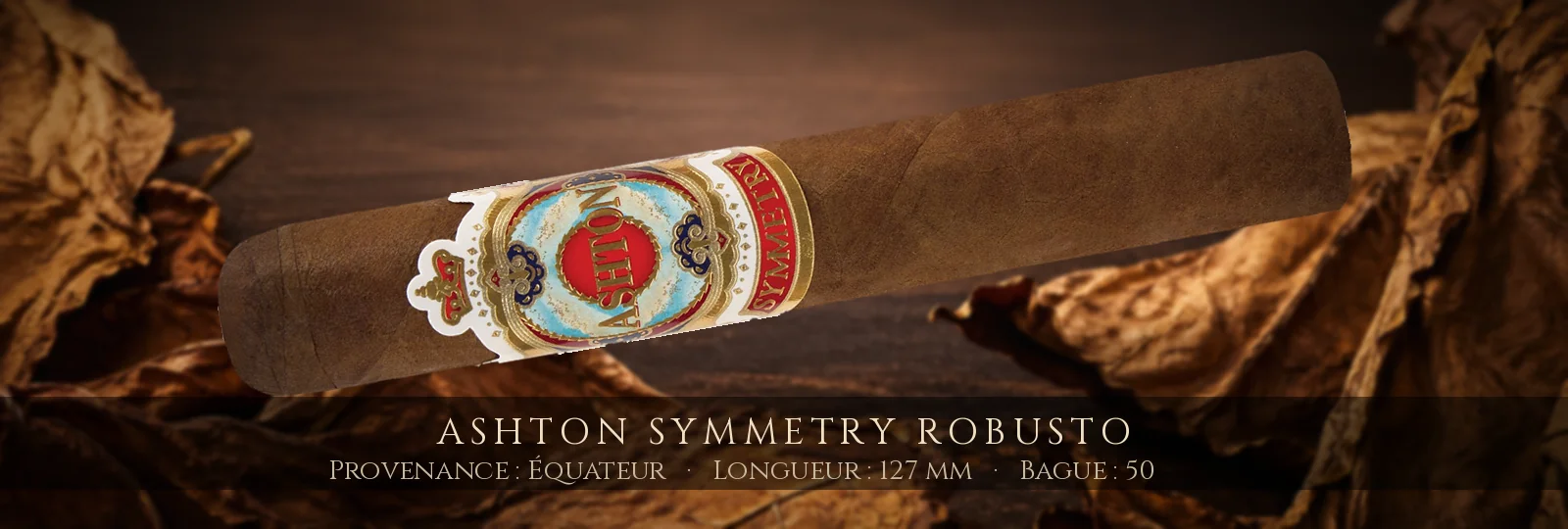 Ashton Symmetry Robusto