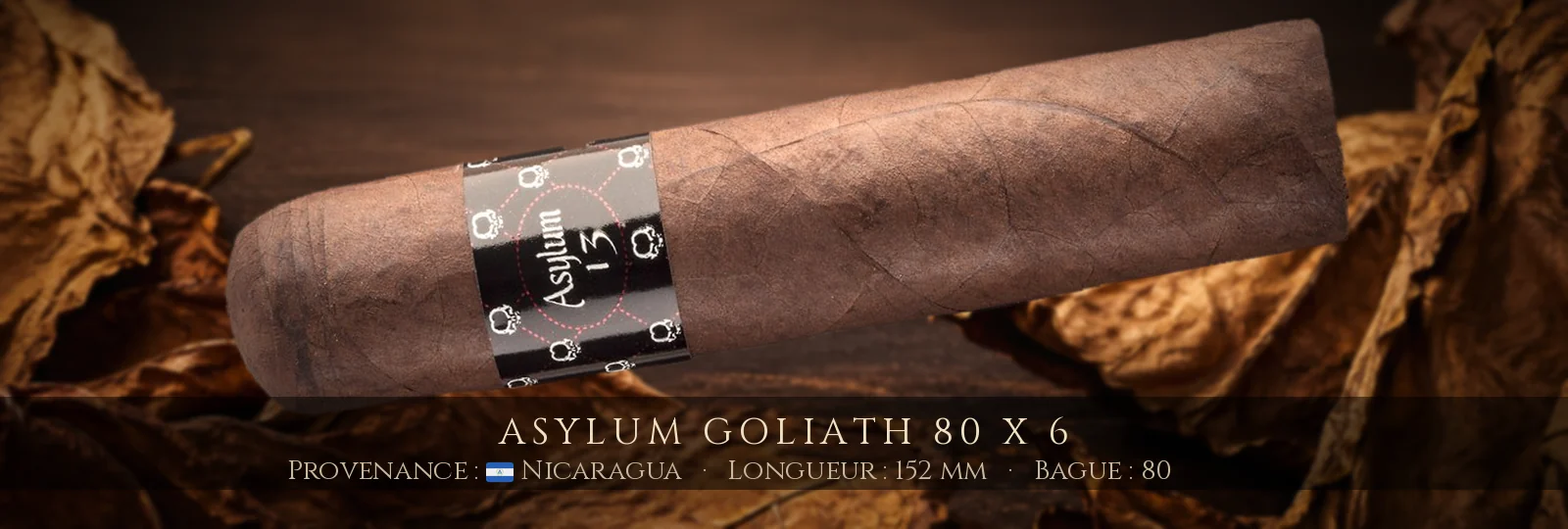 Asylum Goliath 80 x 6 — Asylum — Nicaragua