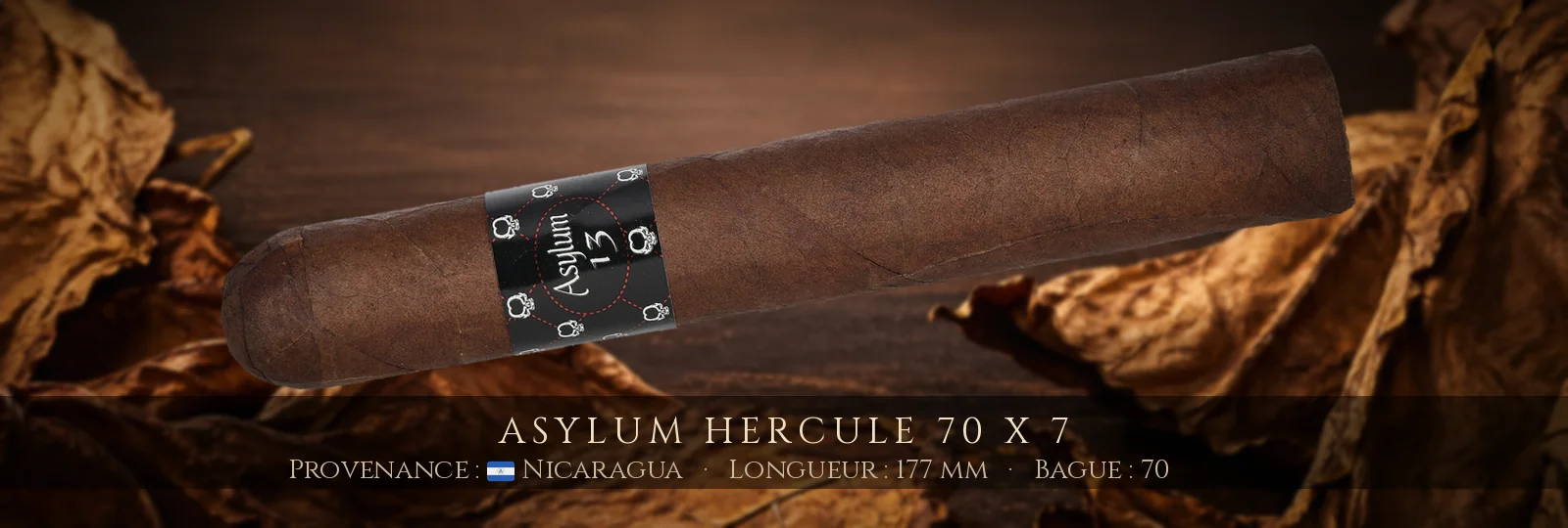 Asylum Hercule 70 x 7 — Asylum — Nicaragua