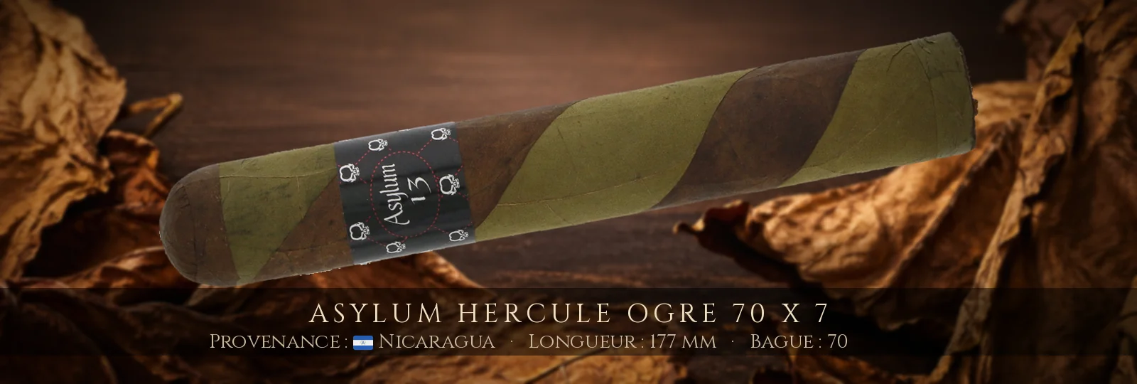 Asylum Hercule Ogre 70 x 7 — Asylum — Nicaragua