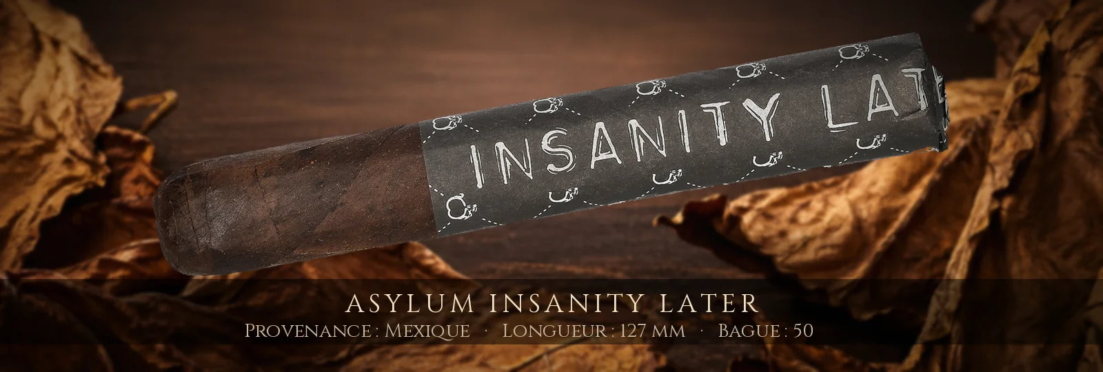 Asylum Insanity Later — Asylum — Mexique
