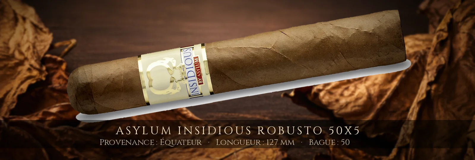 Asylum Insidious Robusto 50x5 — Asylum — Équateur