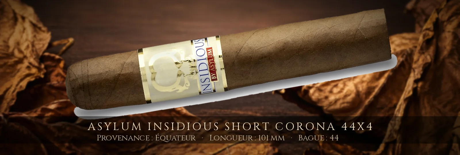 Asylum Insidious Short Corona 44x4 — Asylum — Équateur