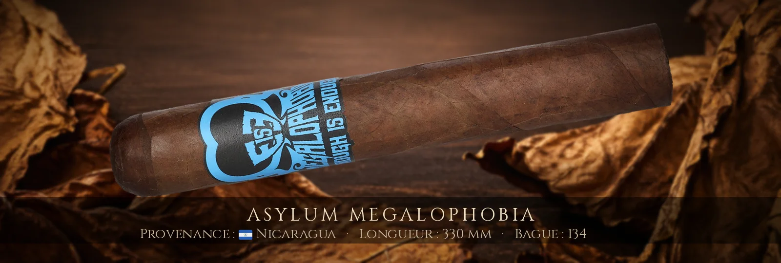 Asylum Megalophobia — Asylum — Nicaragua