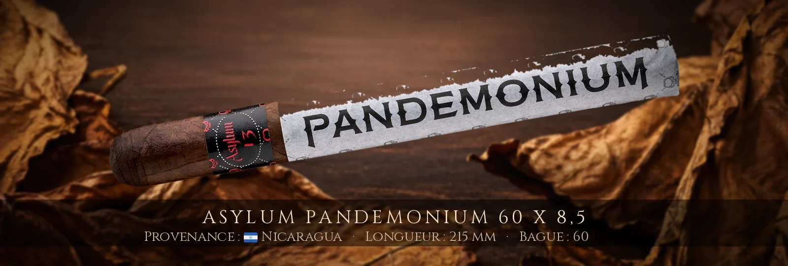 Asylum Pandemonium 60 x 8,5 — Asylum — Nicaragua