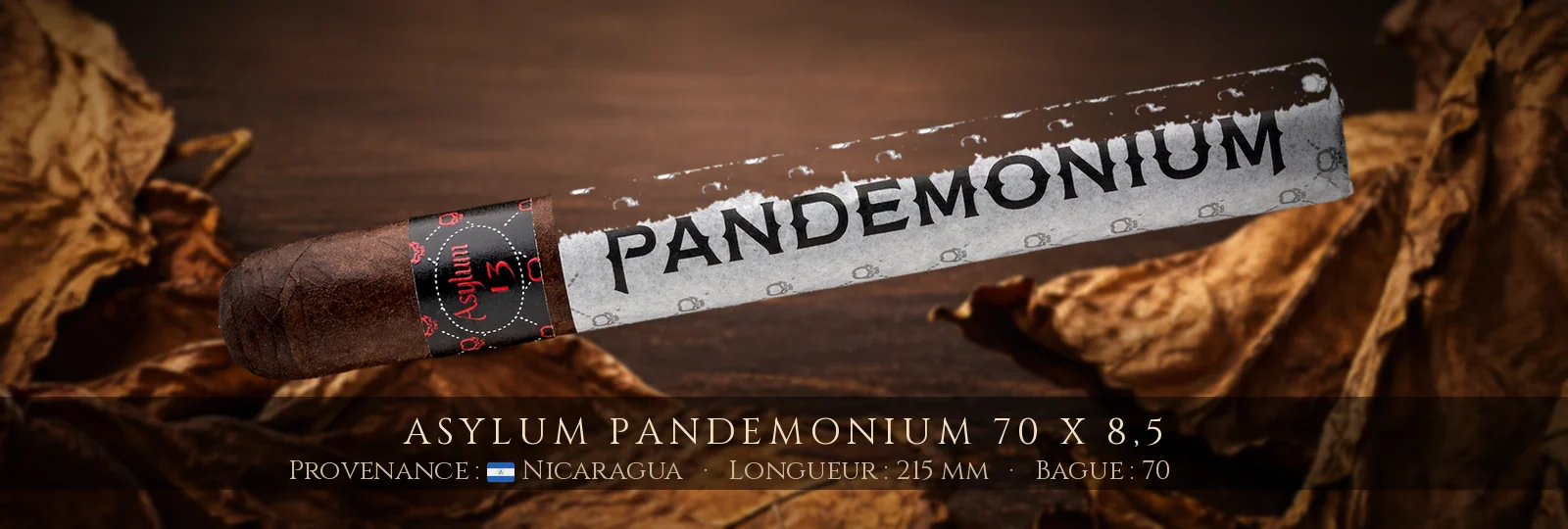 Asylum Pandemonium 70 x 8,5 — Asylum — Nicaragua