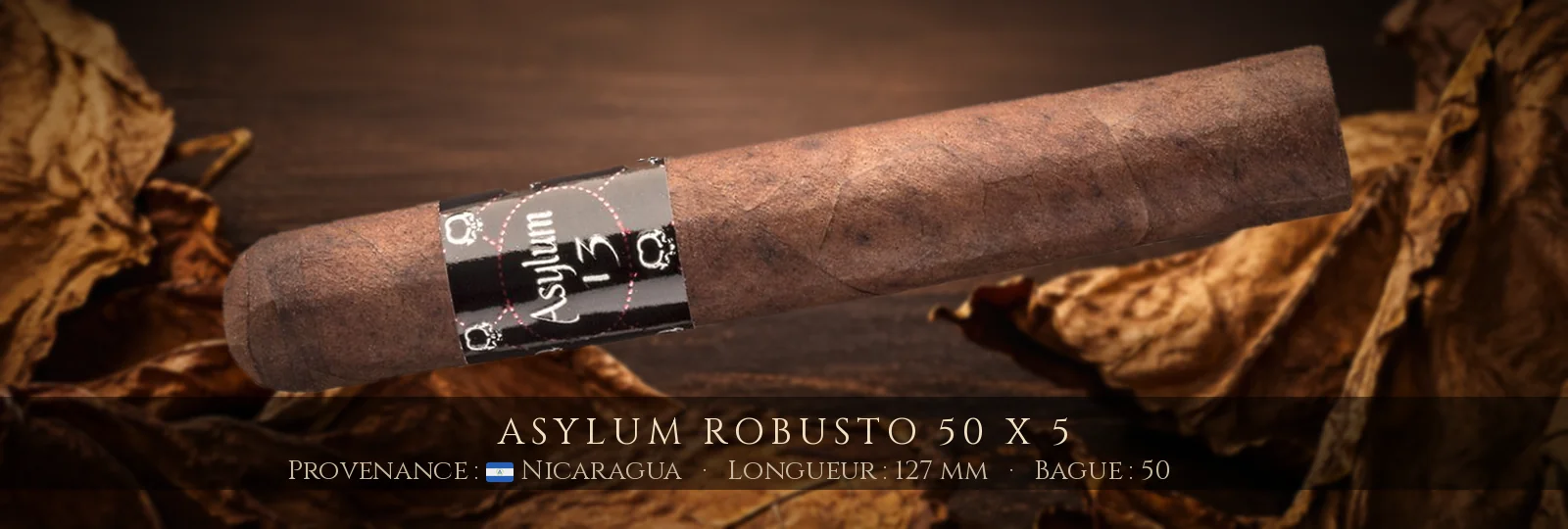 Asylum Robusto 50 x 5 — Asylum — Nicaragua