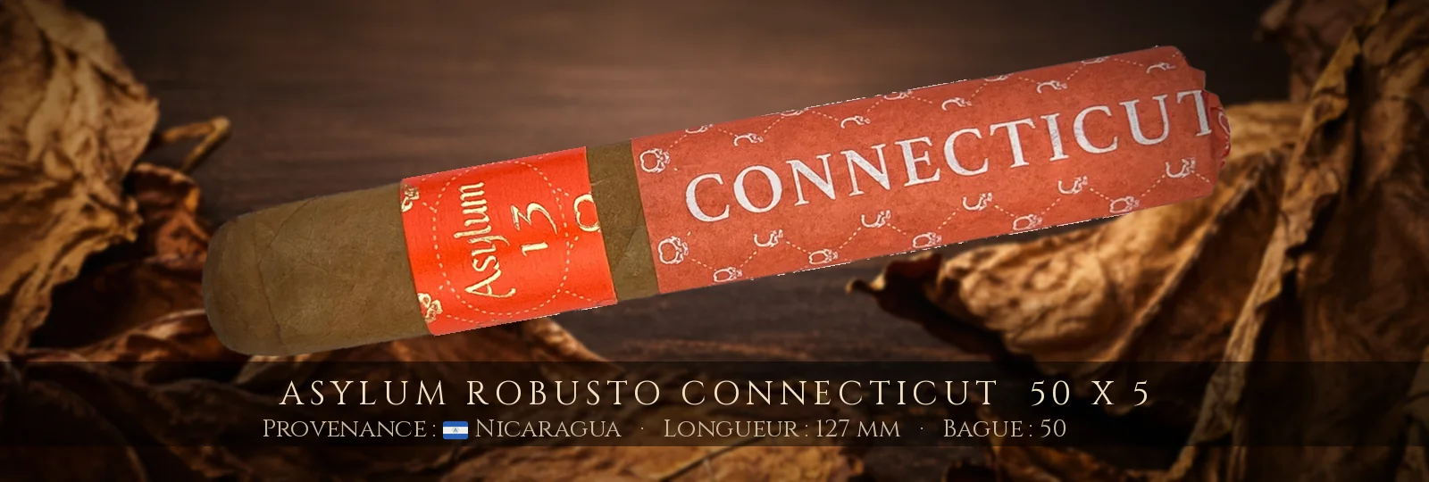 Asylum Robusto Connecticut  50 x 5 — Asylum — Nicaragua