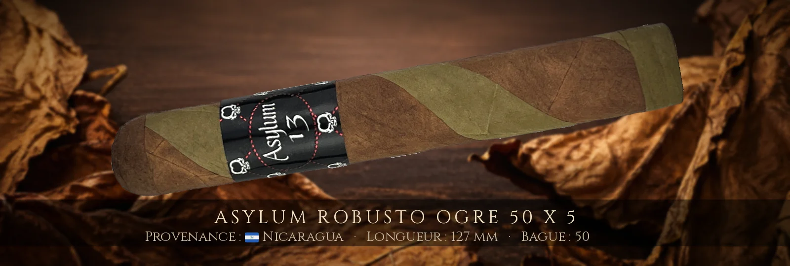 Asylum Robusto Ogre 50 x 5 — Asylum — Nicaragua