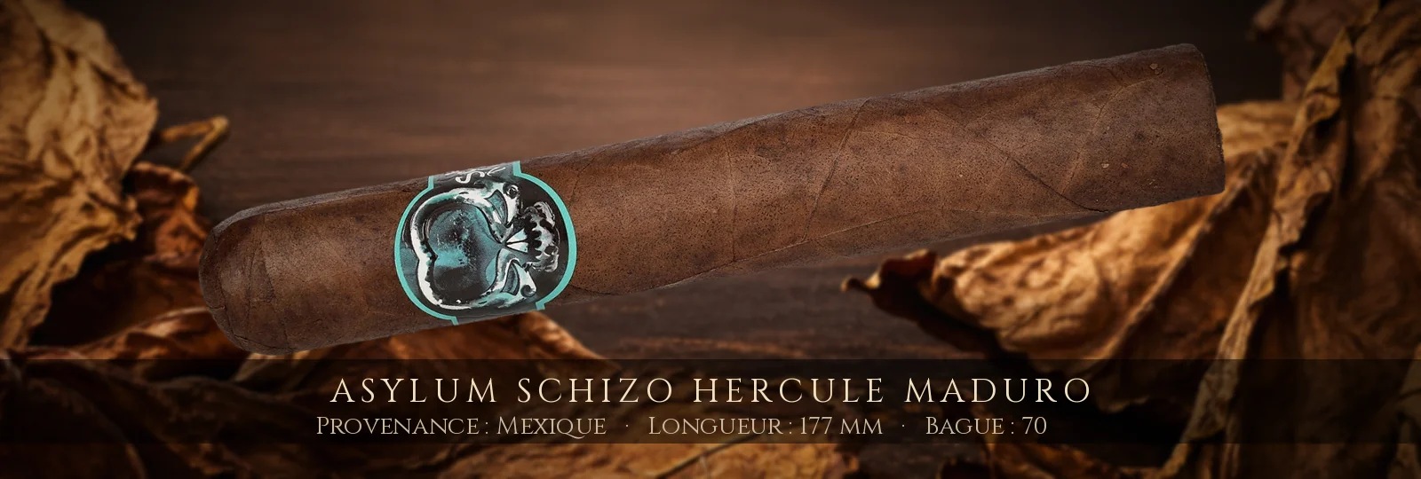 Asylum Schizo Hercule Maduro — Asylum — Mexique