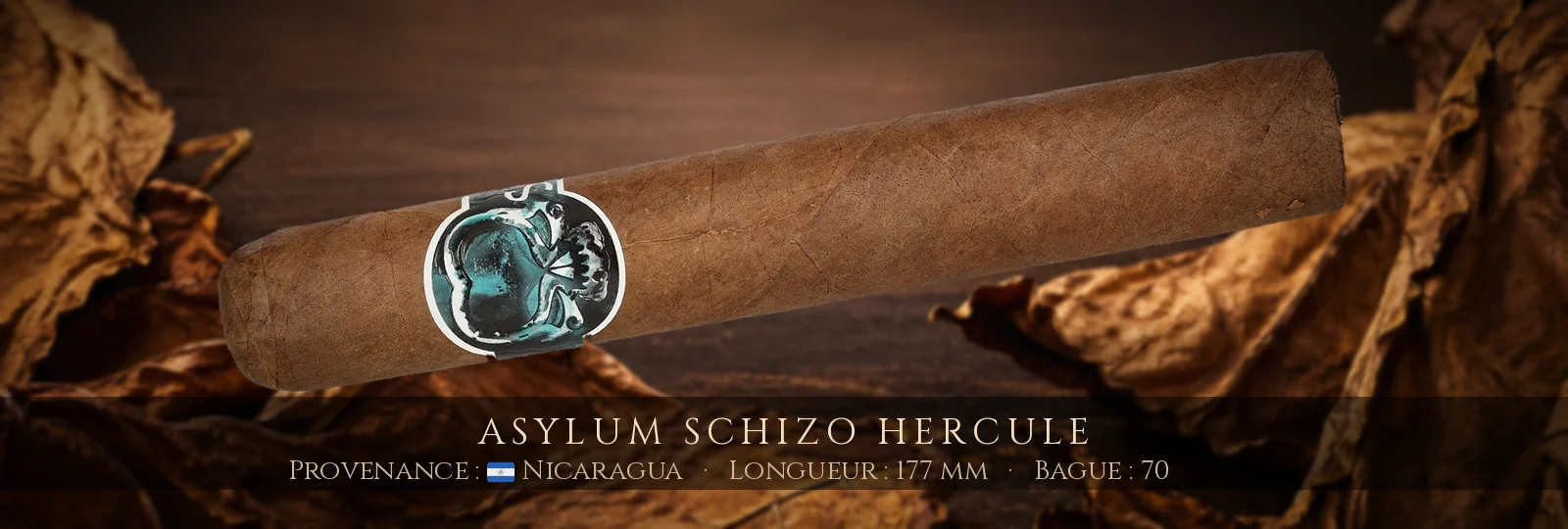 Asylum Schizo Hercule — Asylum — Nicaragua