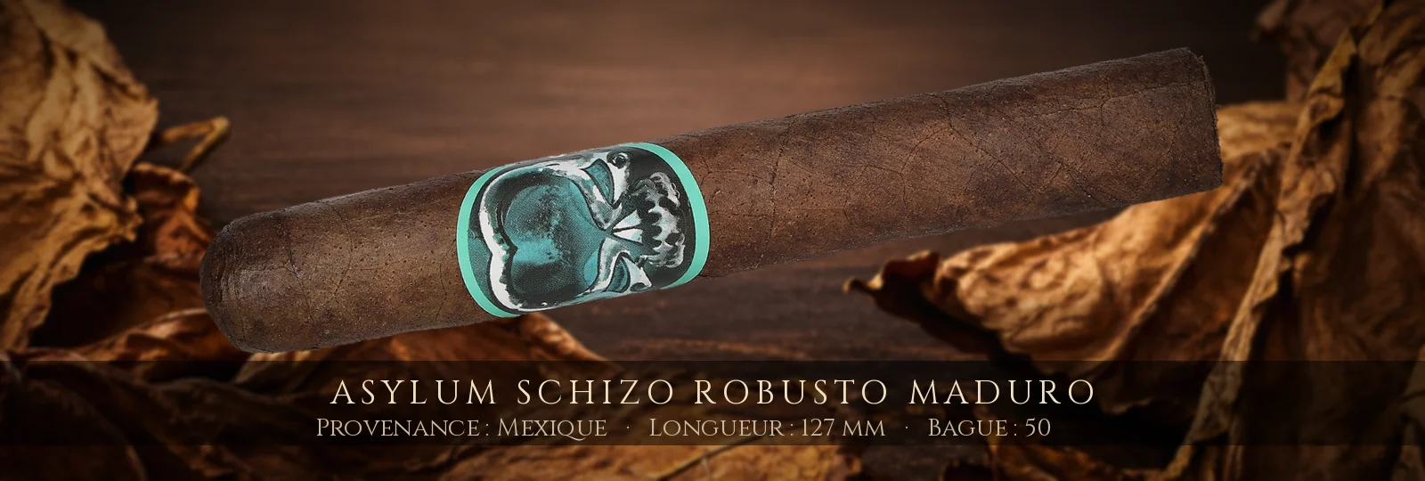 Asylum Schizo Robusto Maduro — Asylum — Mexique