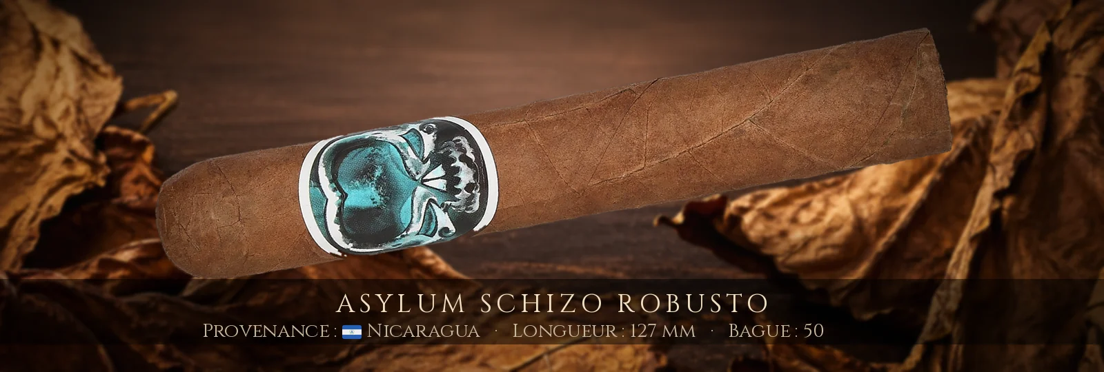 Asylum Schizo Robusto — Asylum — Nicaragua