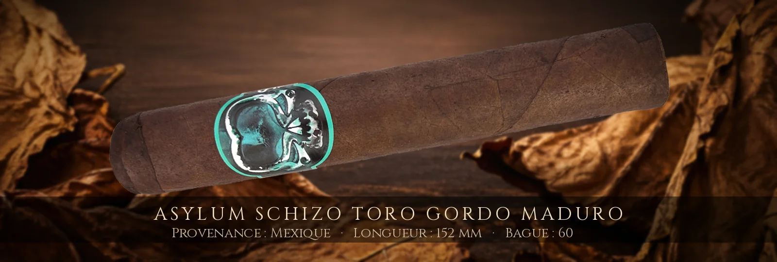 Asylum Schizo Toro Gordo Maduro — Asylum — Mexique