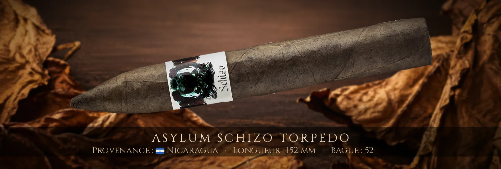 Asylum Schizo Torpedo — Asylum — Nicaragua