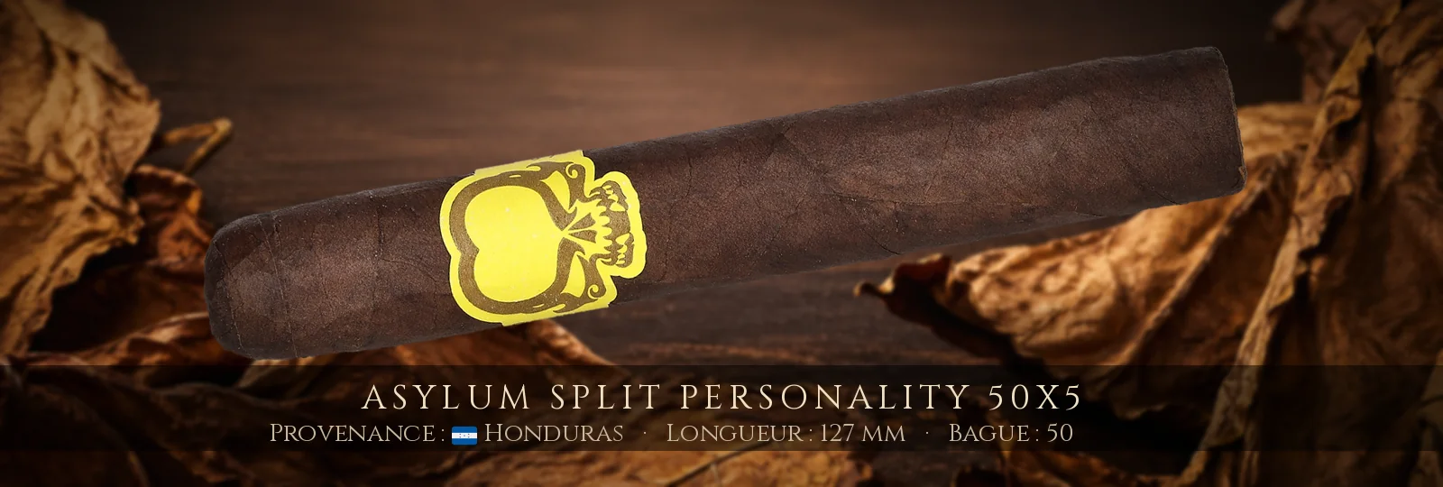 Asylum Split Personality 50x5 — Asylum — Honduras